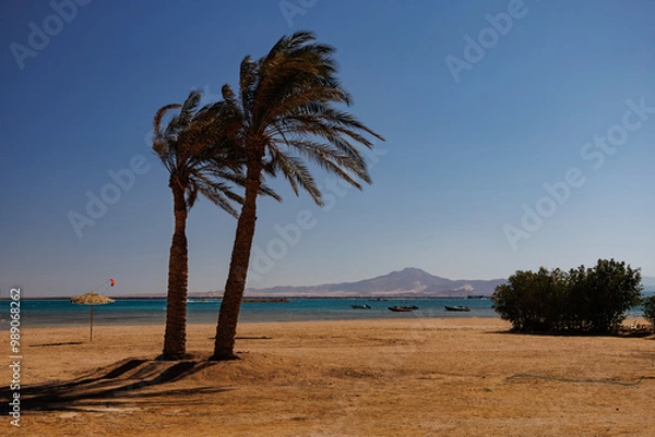 Fototapeta On the beach in Sharm el Sheikh, Island of Titan 