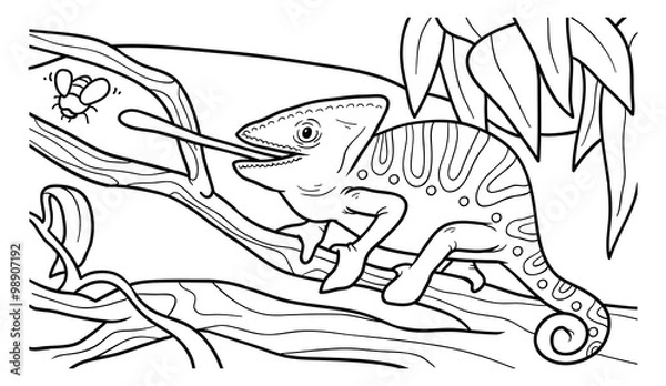 Obraz Coloring book for children (chameleon)