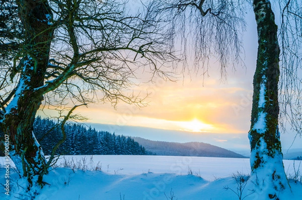 Fototapeta Winter-Landscape at sunset.
 Low Mountain Range, Germany, touristic region in the middle of Germany called Rothaargebirge. 