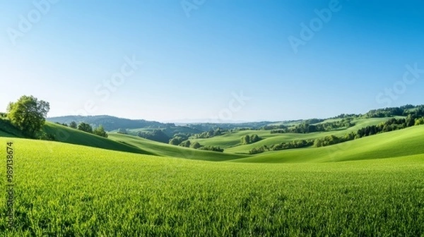 Obraz Broad Scenic View of Lush Green Fields and Rolling Hills Against a Clear Sky