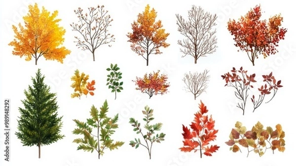 Fototapeta Various types of autumn tree branch plants, bushes, shrubs, and small plants in isolation.