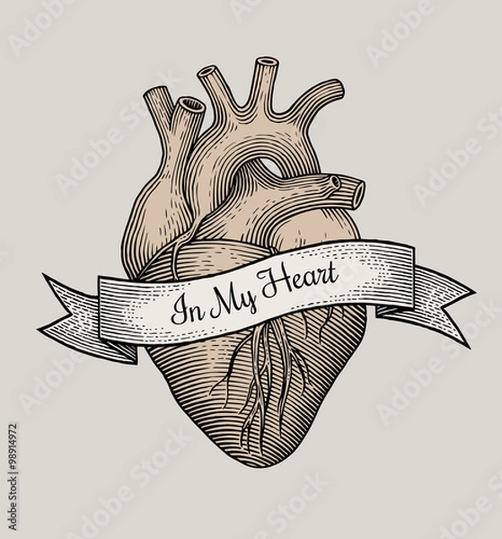 Obraz Engraving vector heart
