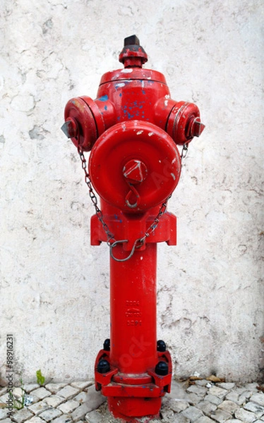 Fototapeta Red fire hydrant