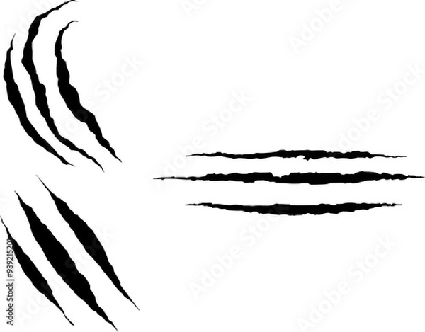 Fototapeta Dragon, bear and tiger claw marks, scratches and torn traces. Vector animal and monster attack marks, scars and claw slashes, lion, wild cat or dinosaur beast paw talon traces, tattoo or t-shirt print