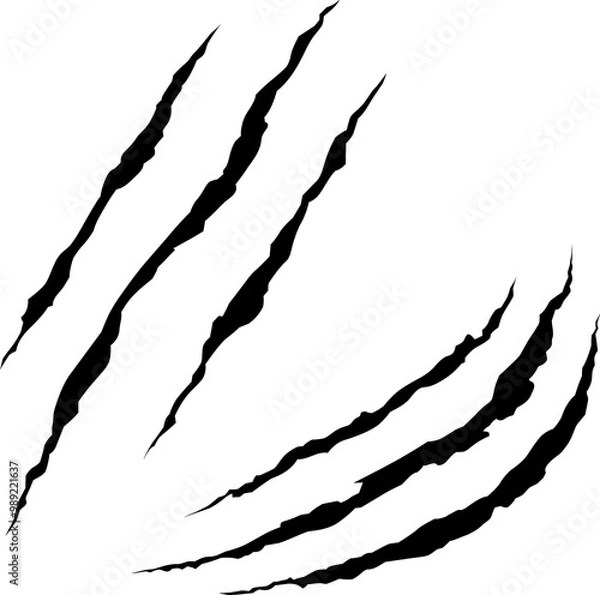 Obraz Set of Animal claw scratches and marks. Black silhouette. Vector isolated on white background. Scratches from a cat, tiger, lion, dog, jaguar, bear, puma, leopard. Icon. Flat style.