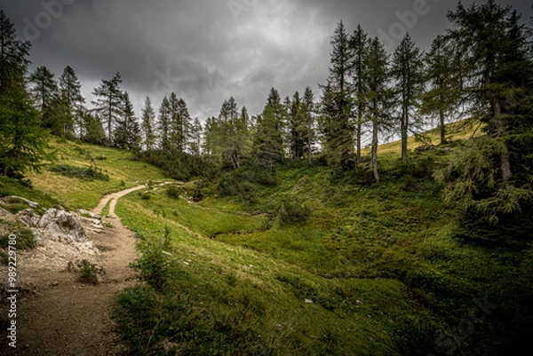 Obraz Hiking Fairytail