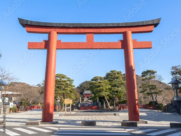 Obraz 鎌倉　鶴岡八幡宮