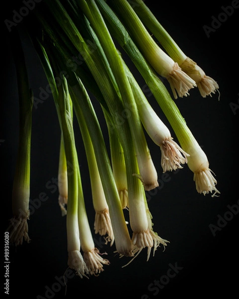 Obraz Green onion, scallions 