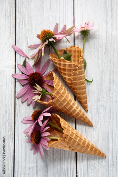 Obraz Coneflowers -2009