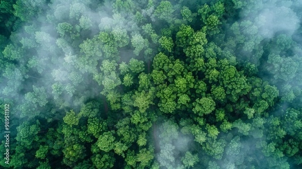 Fototapeta Foggy forest landscape pattern background top view generated by ai