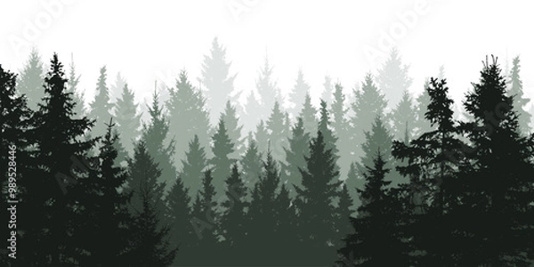 Fototapeta Forest background, nature, landscape. Evergreen coniferous trees, silhouette. Vector illustration