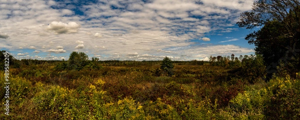 Fototapeta Scenic Overlook at Great Swamp NWR