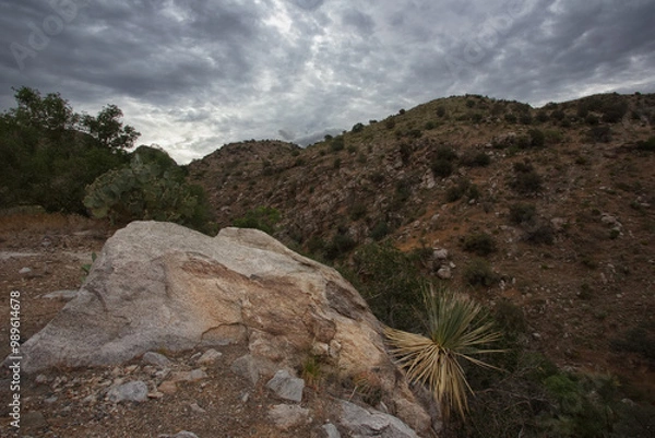 Fototapeta Dry, rugged Mount Lemmon ridge view in Catalina Mountains of Arizona in America's Southwest region