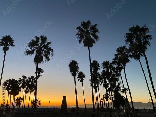 Obraz sunset at the beach