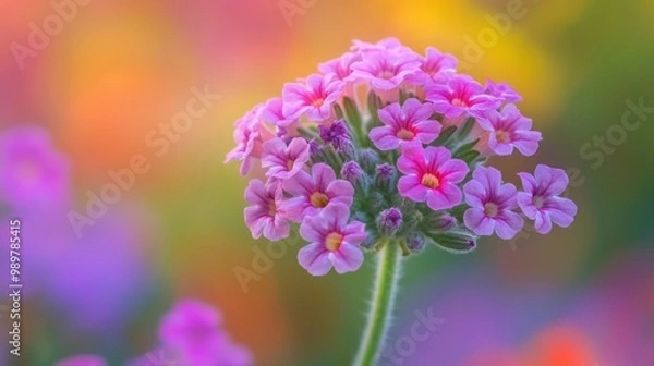 Fototapeta Delicate Pink Flowers in a Garden of Colorful Blurs