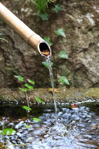 Fototapeta 日本の手水