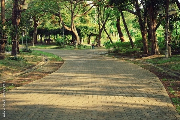 Fototapeta Pathway in park