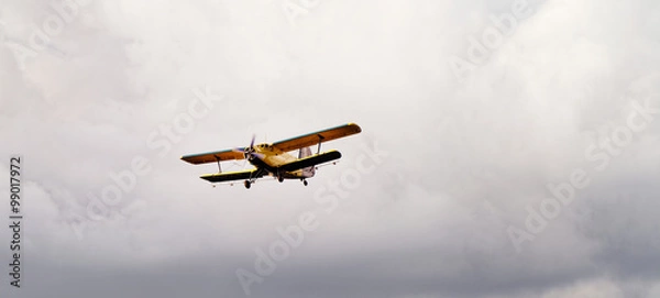 Obraz Plane on the sky