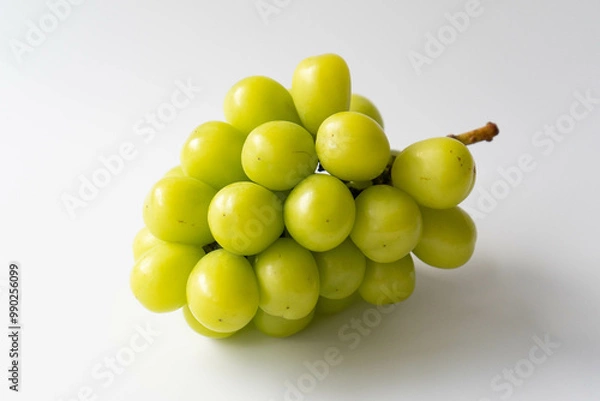 Fototapeta 白背景のシャインマスカット