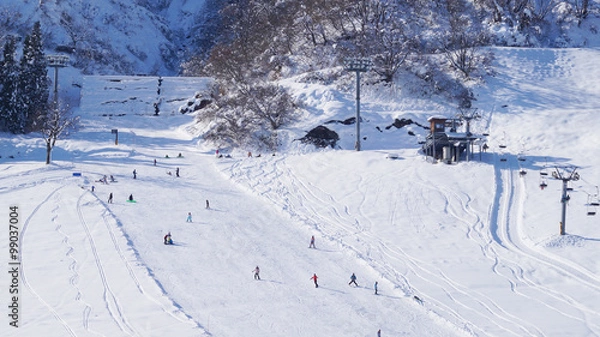 Fototapeta 越後湯沢のスキー場