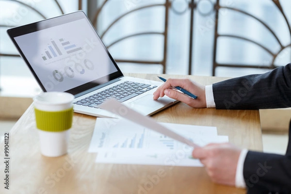 Fototapeta businessman checking financial reports