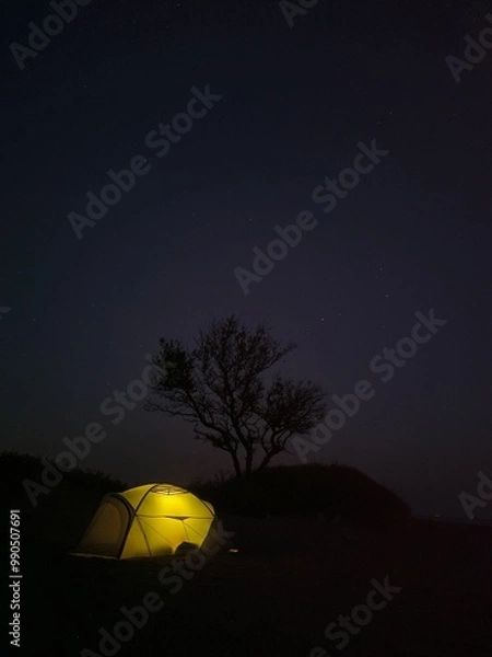 Fototapeta Illuminated tent under starry night sky with a tree silhouette