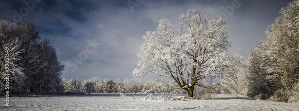 Obraz Panoramiczne dziewicze zimowe krajobrazy. Panoramiczna i duszpasterska scena pokryta świeżym opadającym śniegiem, ukazująca mroźne piękno zimy. Yale w stanie Michigan.