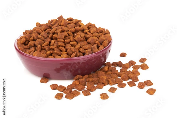 Obraz Dry pet food