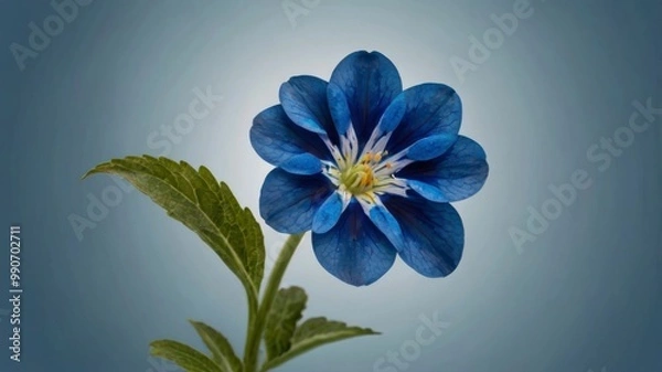 Obraz Stunning blue flower isolated 
