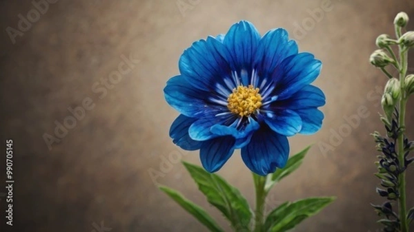 Obraz Vibrant blue flower on display