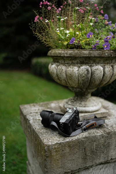 Obraz camera in garden