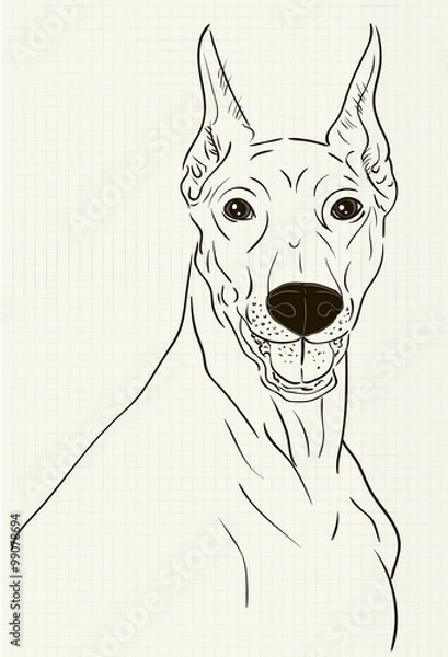Obraz Doberman ink drawing on notebook sheet