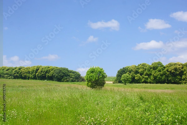 Fototapeta 土石工場 