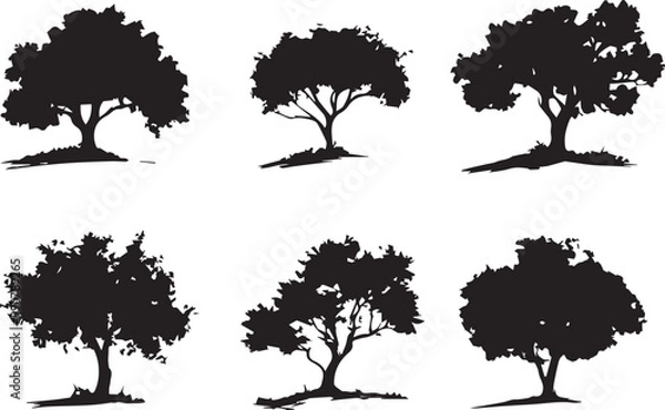 Fototapeta Set Trees. Hand drawn vector illustration	