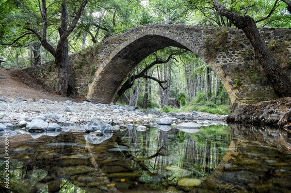 Obraz Old stone bridge