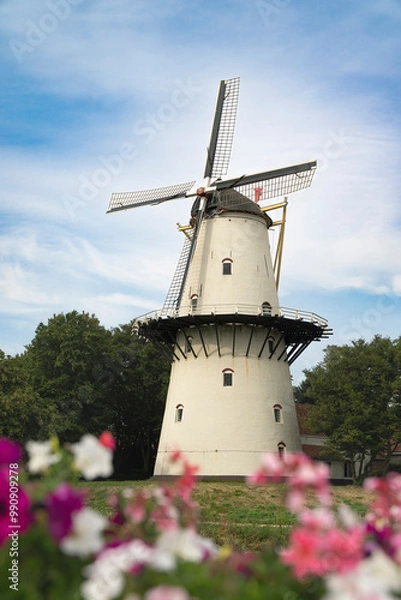 Fototapeta Beautiful Windmill Molen de Hopp in the city of middelbug in the niederlands