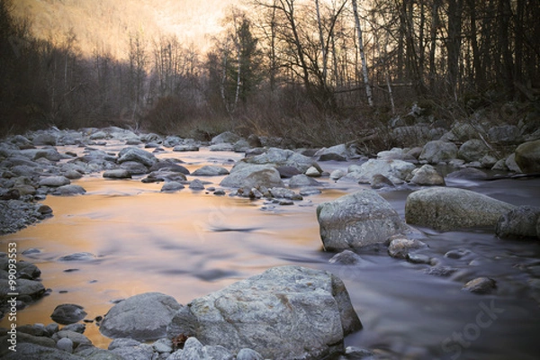 Obraz Riflessi dorati