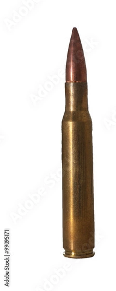 Obraz 30-06 Cartridge