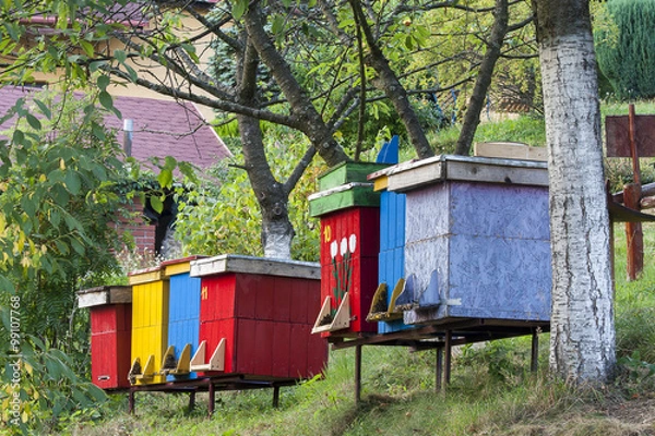 Obraz hives