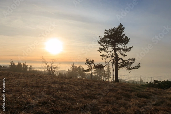Obraz Sonnenuntergang auf der Hornisgrinde