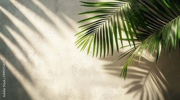 Fototapeta Sunlit Palm Leaf Shadows on a Textured Wall Creating a Tropical and Serene Atmosphere