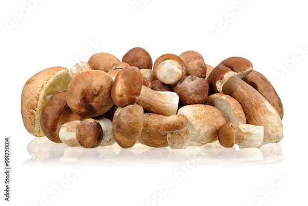 Obraz Porcini mushrooms (Boletus edulis) on white background.