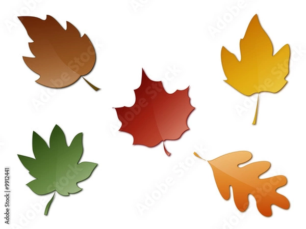 Fototapeta Feuilles d'automne