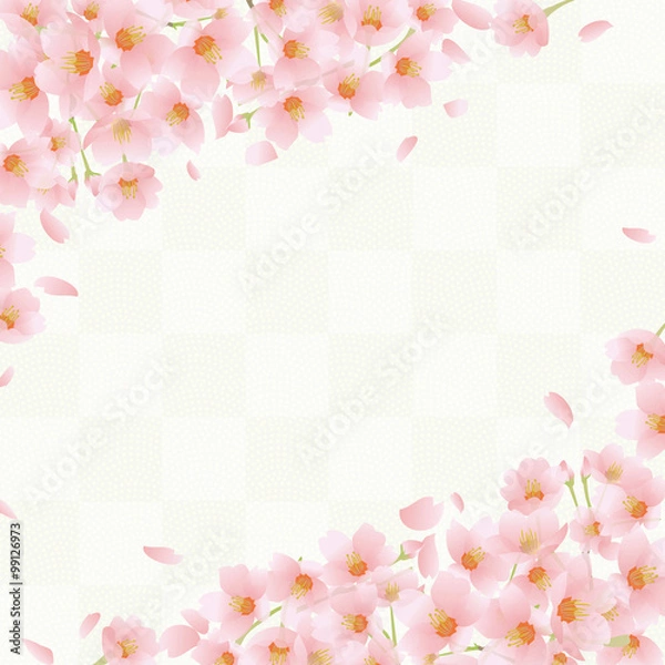 Fototapeta 桜　和柄