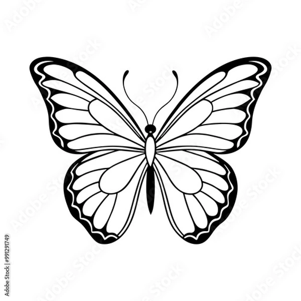 Obraz butterfly silhouette vector