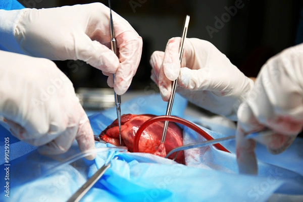 Obraz Doktor wykonujący serce