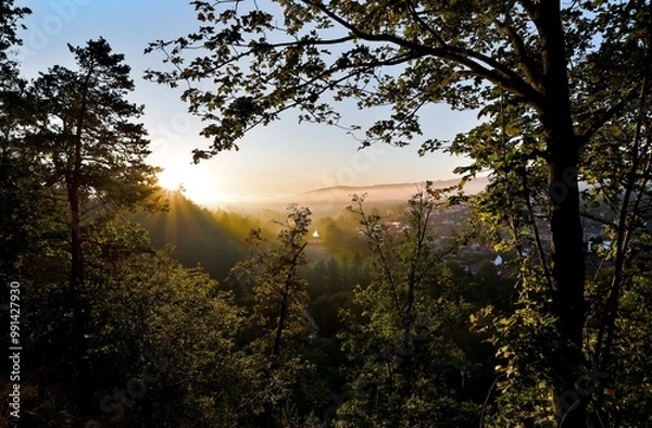 Obraz sunset in the forest