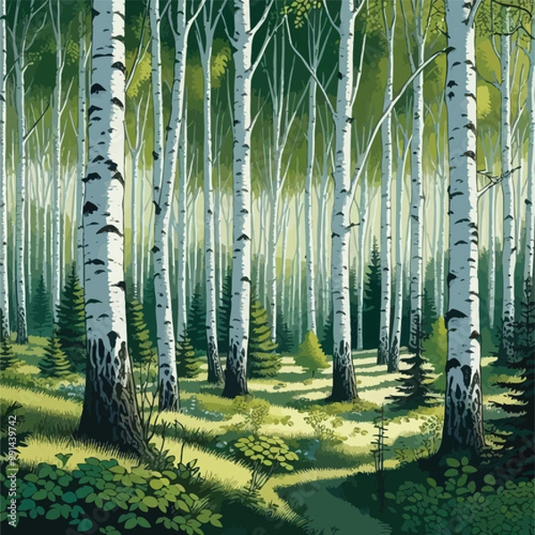 Obraz forest filled with birch trees illustration 