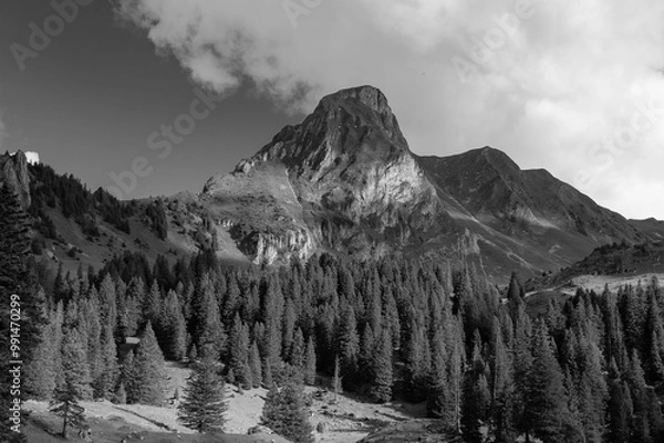Fototapeta swiss mountain range