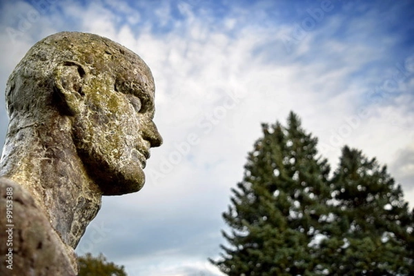 Obraz Weathered man (Forgotten statue)